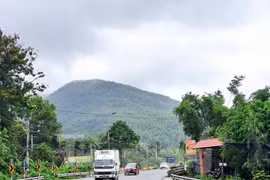 Bình Định đề nghị chuyển một số đoạn quốc lộ thành đường địa phương