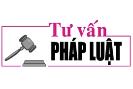 Luật sư Bùi Thanh Vũ tư vấn pháp luật về hành vi hút thuốc gây cháy rừng sản xuất