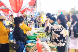 Nhộn nhịp phiên chợ Tết ở Đak Pơ