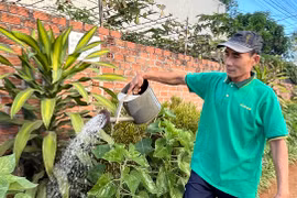 “Con đường hoa” giữa lòng Phố núi 