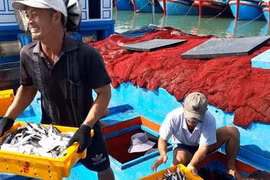 Trăm năm cơm cá đời người…