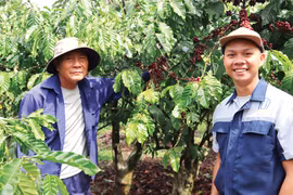 Cha - con và câu chuyện chuyển đổi xanh trong sản xuất nông nghiệp