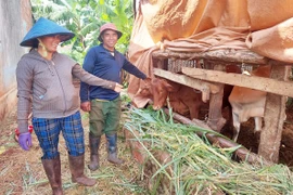 Chương trình giảm nghèo bền vững: Nhiều khó khăn, vướng mắc