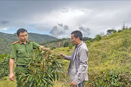 Nâng đỡ những mảnh đời lầm lỡ