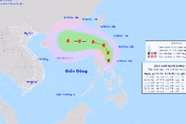 Xem xét đóng cửa một số sân bay do bão Yagi