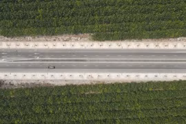 Tập đoàn Thuận An tham gia dự án gần 1.000 tỉ đồng ở Bình Dương