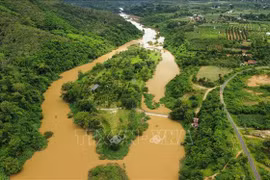 Đắk Nông: Tháo dỡ các công trình vi phạm tại cù lao trên sông Sêrêpốk