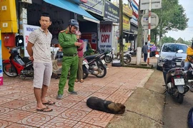 2 em học sinh tiểu học bị chó béc-giê cắn trước cổng trường, phải đưa cấp cứu