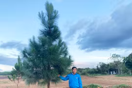 Tuổi trẻ Ia Grai chung tay xây dựng tuyến đường xanh 