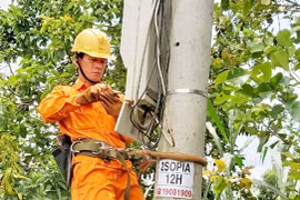 Gương sáng của ngành điện