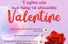 [Infographics] Ý nghĩa của hoa hồng và chocolate ngày Valentine 