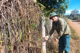 Chi nhánh Văn phòng Đăng ký đất đai huyện Chư Păh có nhũng nhiễu người dân?