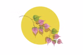 Thơ Phạm Đức Long: Những mùa lá hình tim