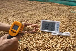 Cơn sốt giá cà phê vẫn kéo dài