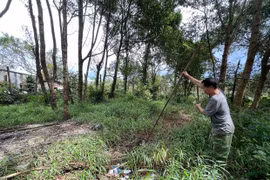 Cơ sở thu mua mủ cao su gây ô nhiễm khu dân cư