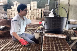 Người nông dân với những chiếc máy chuyên sản xuất vườn ươm