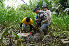 FORIMEX đồng ý bàn giao đất cho dự án Vành đai 3