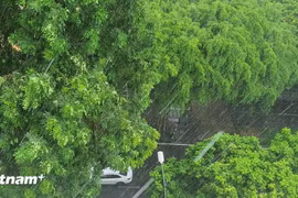 Mưa dông diện rộng ở khu vực Bắc Bộ và Bắc Trung Bộ