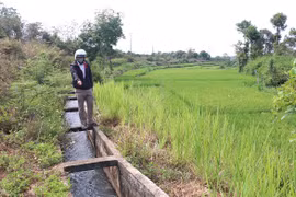 Chư Sê: Điều tiết nước hợp lý để chống hạn