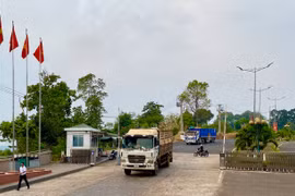 Tăng cường đối ngoại để thúc đẩy hoạt động xuất-nhập khẩu 