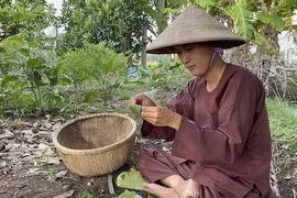 Về quê làm nông...