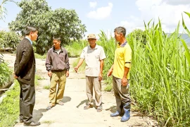 Lan tỏa những cánh chim đầu đàn