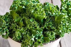 Lợi ích sức khỏe tuyệt vời của cải xoăn