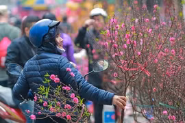 Trình Chính phủ phương án nghỉ Tết Âm lịch và Lễ Quốc khánh năm 2024