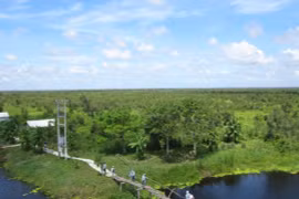 NÓNG: Bắt tạm giam nguyên Giám đốc Vườn Quốc gia U Minh Thượng