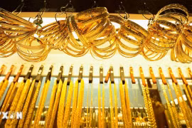 Chuyên gia thế giới_Cơn sốt vàng có thể kéo dài trong năm nay