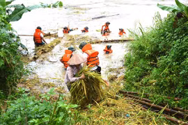 Tri ân những 'người hùng' trong hiểm nguy