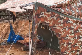 Điều tra, xử lý các vụ việc tấn công, hành hung cán bộ quản lý, bảo vệ rừng