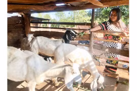 Chư Păh trao sinh kế giúp nông dân phát triển kinh tế