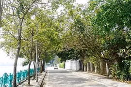 Con đường chỉ 1 km ở Việt Nam vào top 30 con đường đẹp nhất thế giới