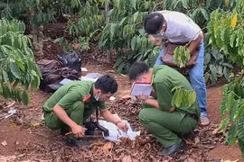 Tá hỏa phát hiện bộ xương người lộ thiên trong vườn cà phê