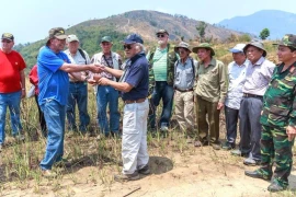 Tìm nhau từ hai chiến tuyến