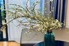 Nhúng cành hoa vào nước sôi có công dụng gì?