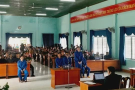 Khai thác gỗ trong rừng tự nhiên, nhóm đối tượng lĩnh án gần 10 năm tù