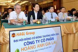 Công ty của bầu Đức lại bị nghi ngờ về khả năng hoạt động liên tục