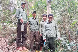 Gác rừng trên đỉnh núi