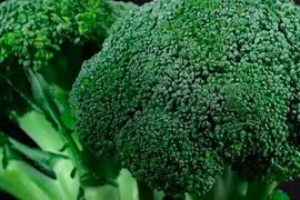 Ngoài chống ung thư, bông cải xanh còn giúp giảm cân