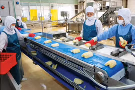 Doveco: Đơn vị tiên phong đưa nông sản Việt Nam ra thế giới