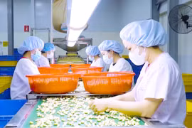 Ban Quản lý Khu Kinh tế tỉnh khẳng định vai trò trợ lực cho doanh nghiệp