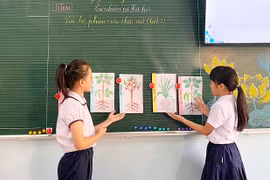 Thí điểm giáo dục STEM ở bậc tiểu học: Hiệu quả bước đầu