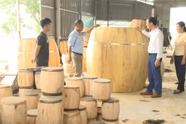 Trống vọng nghìn năm mong ra thế giới