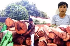 Bắt tài xế trong đường dây vận chuyển gỗ lậu do giang hồ khét tiếng ở Gia Lai cầm đầu