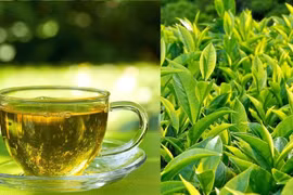 Những nguyên liệu trong nhà bếp có tác dụng hỗ trợ giảm cân