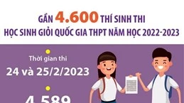 [Infographics] Kỳ thi học sinh giỏi quốc gia THPT năm học 2022-2023 