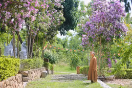 Sắc hoa nơi sơn tự