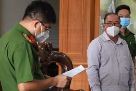 Một nguyên Giám đốc Công ty Điện lực và một nguyên Giám đốc Vietcombank cùng bị khởi tố